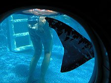 Heidi and Hunter through the port hole.