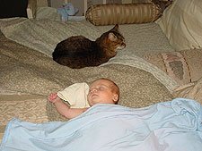 Hunter sleeps with Allie nearby...