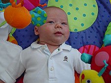 Staring down the bumble bee.