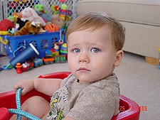 Hunter in his wagon.