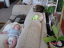 Hunter and Allie nap.