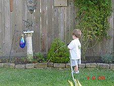 Hunter watering.