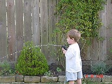 Hunter watering.