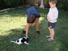 Tyler, Hunter & Shelby