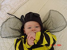 Big hands for a bumble bee...