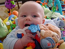 Hunter with lots of toys...