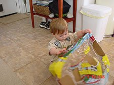 Hunter plays with an empty box.
