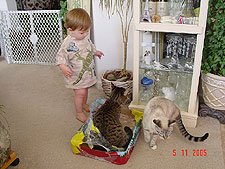 Hunter. Allie and Lily