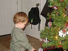 Hunter looks at his tree.
