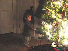 Hunter hans his ornament. 