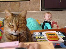 Heidi tries to work, but now Allie wants attention...