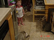 Hunter, Allie and Lily