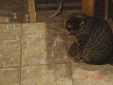 Hunter making a silly face...