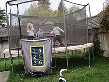 The kids on the trampoline.