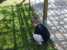 Hunter gathers candy