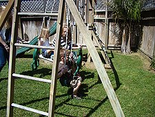 Fun on the swings