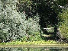 Scenic view from the park