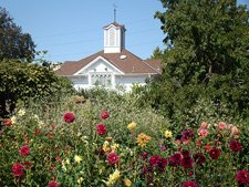 Luther Burbank Gardens