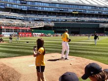 WSLL Little League Day