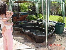 Holding ponds for fish and turtles.