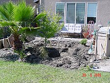 Behind the new pond.