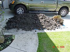 Just some of the dirt from the new pond area...