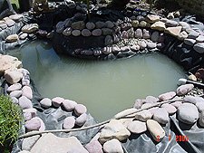 Starting to fill with water!