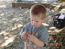 Hunter looking at one of his goodies...
