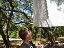 Paradise Ridge Winery