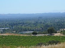 Paradise Ridge Winery