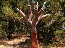 Paradise Ridge Winery