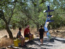 Paradise Ridge Winery