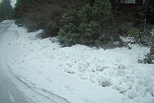snow on the road