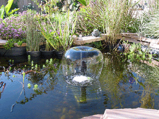New bubble fountain top.