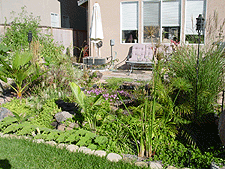 Our tropical paradise growing fast!