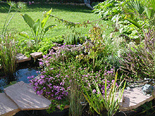 Plants are taking over!