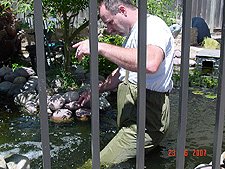 Dave in the pond
