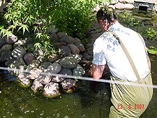 Dave in the pond