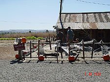 Going in the Haunted House