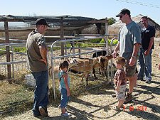 Hunter & Olivia look at the goats.