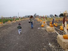 Hunter, Heidi & Ryder