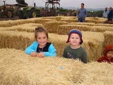 Natalie taking a picture of Austin in the maze.