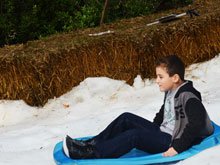 Roller Coaster Race 10K at Six Flags Discovery Kingdom