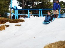 Roller Coaster Race 10K at Six Flags Discovery Kingdom