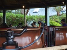 Roller Coaster Race 10K at Six Flags Discovery Kingdom