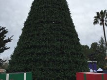 Roller Coaster Race 10K at Six Flags Discovery Kingdom