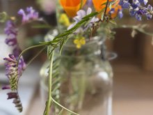 Roseland Creek Trail