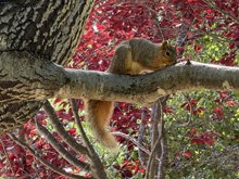 Roseland Creek Trail