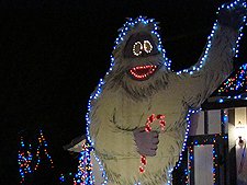 more Christmas decorations