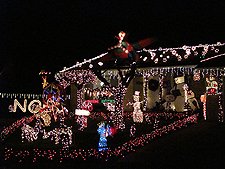 more Christmas decorations